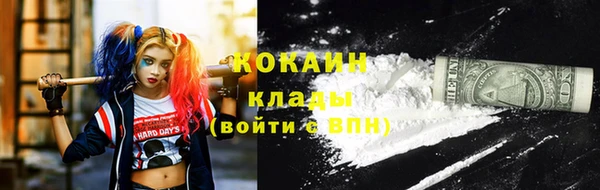 мдпв Елизово