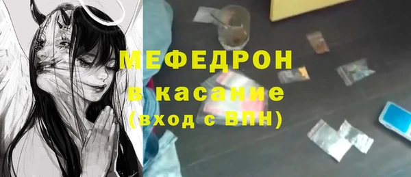 гашик Ельня