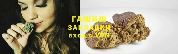 гашик Ельня