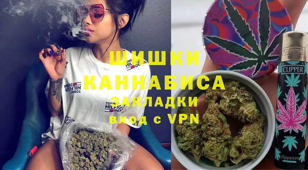 гашик Ельня