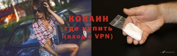 гашик Ельня
