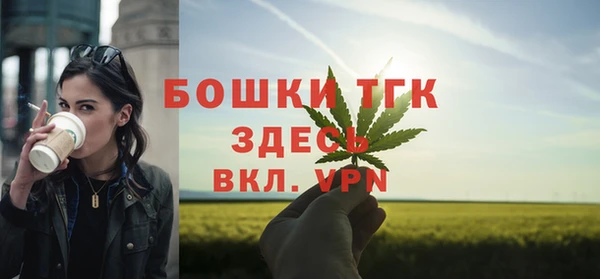 гашик Ельня