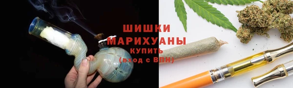 гашик Ельня