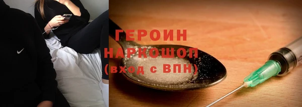 гашик Ельня