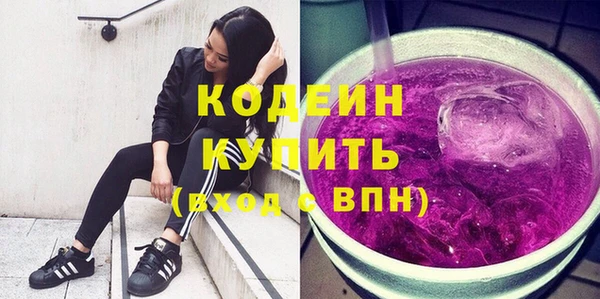 мдпв Елизово