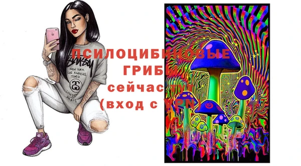 мдпв Елизово