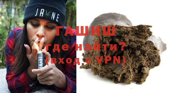 гашик Ельня