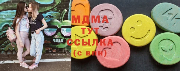 гашик Ельня
