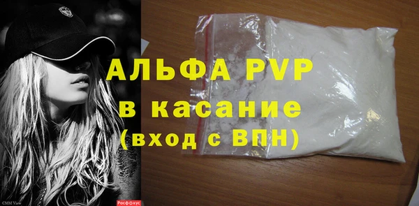 гашик Ельня