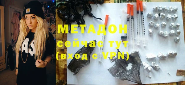 гашик Ельня