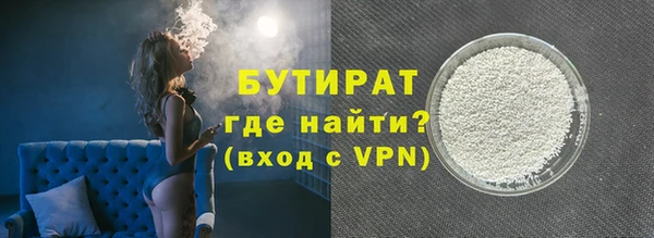 гашик Ельня