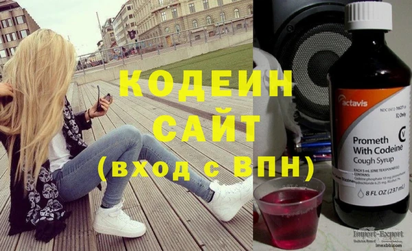 гашик Ельня