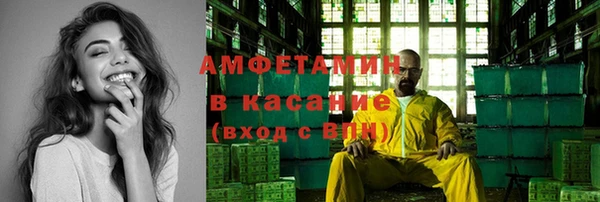 гашик Ельня
