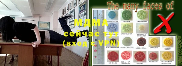 гашик Ельня